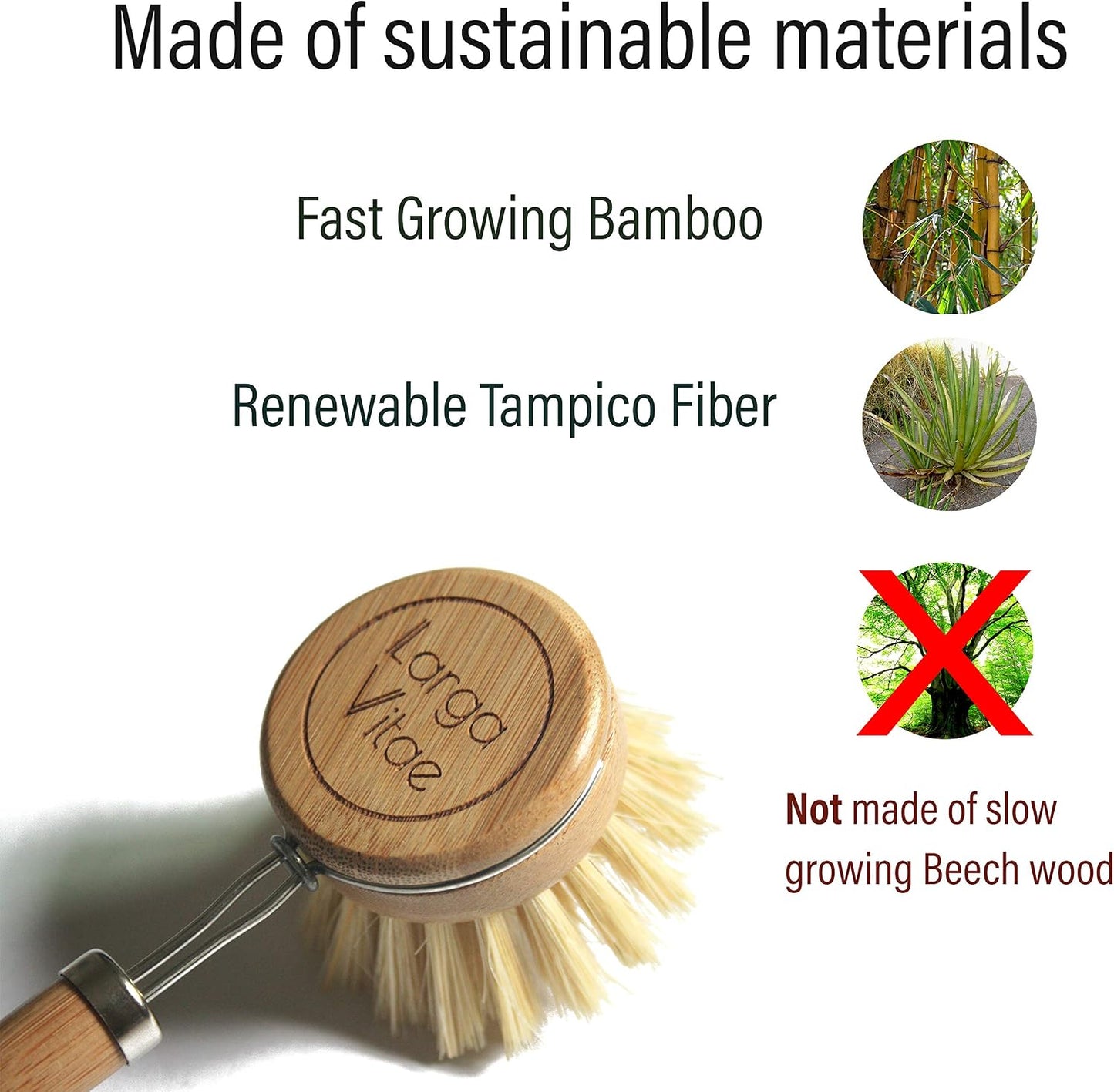6 Cabezales Repuesto Bambú Cerdas Naturales Tampico