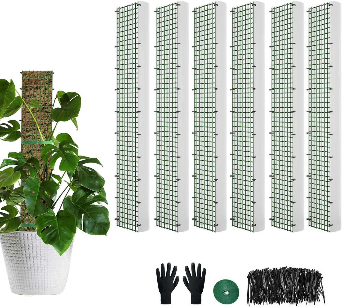 Poste musgo esfagnum forma D para plantas trepadoras 24pulg 4pzas