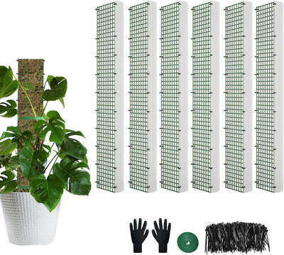 Poste musgo esfagnum forma D para plantas trepadoras 24pulg 4pzas
