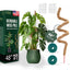 Poste musgo flexible 48pulg para Monstera set 2