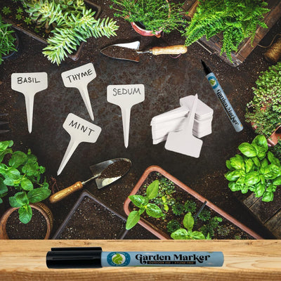 100 Etiquetas Plástico Tipo T para Plantas Jardín