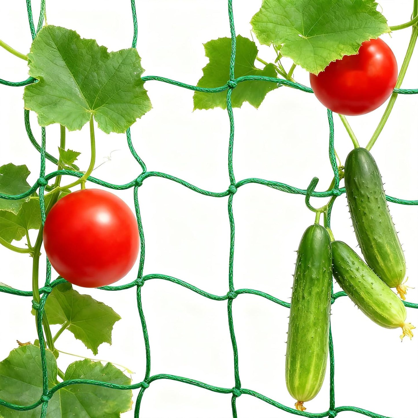 Red enrejada polietileno 6.6x9.9pies para tomate pepino