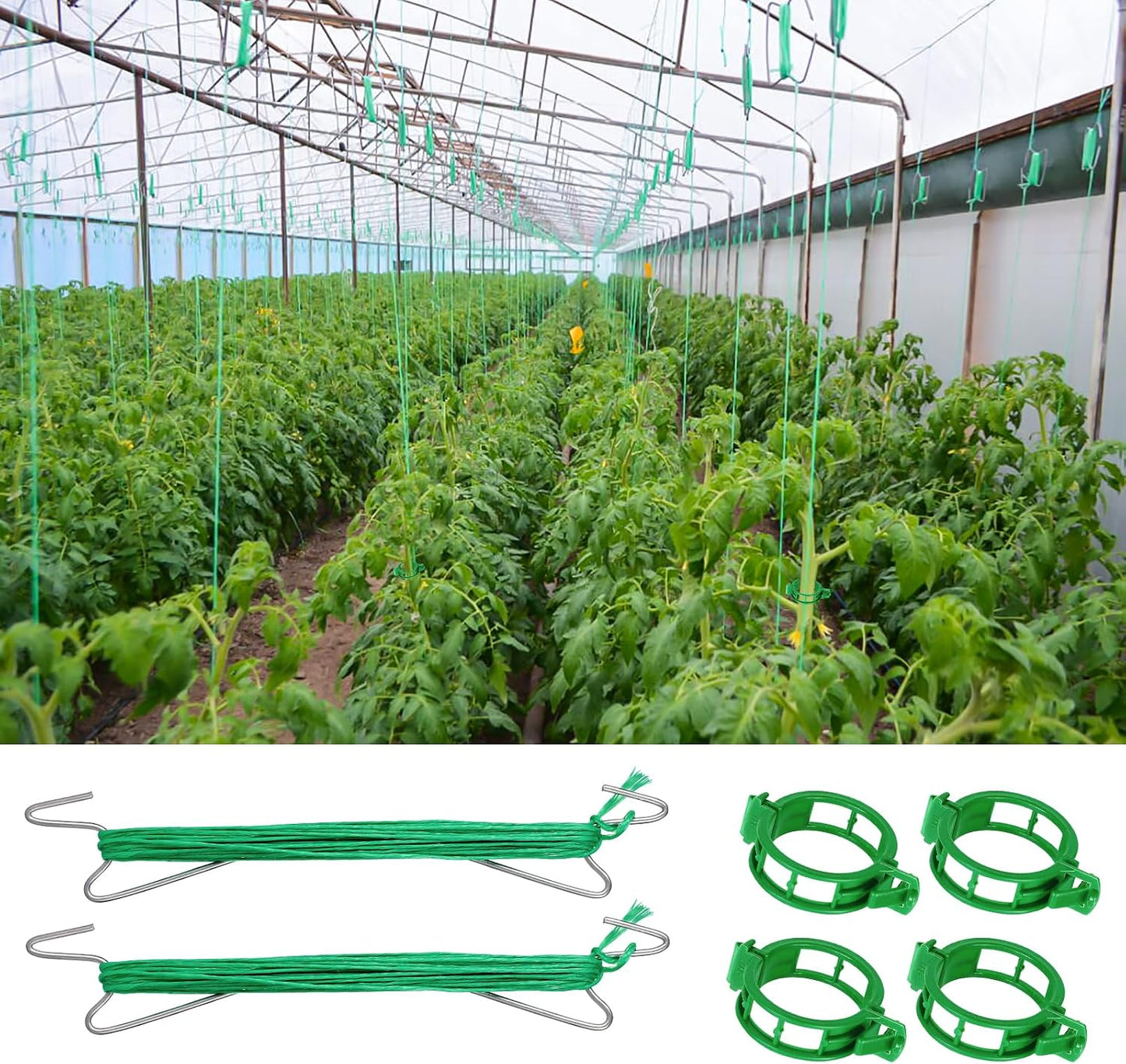 40 Ganchos Tomate con Cuerda 33.3pies para Soporte y Clips