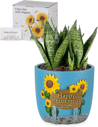 Regalo jubilación mujer enfermera profesora maceta decoración