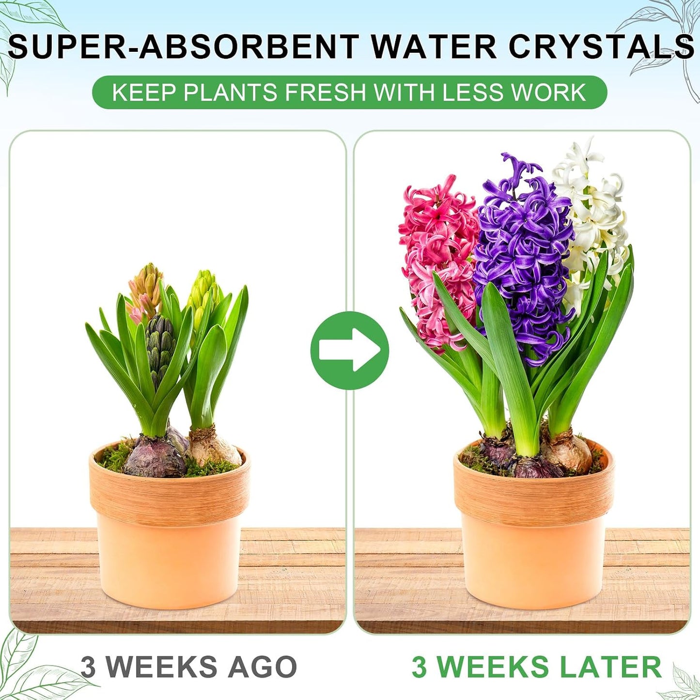 Cristales humedad suelo 3lb hidrogel para plantas retención agua