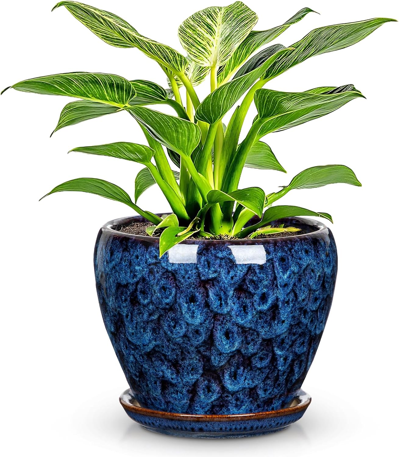 Maceta cerámica azul redonda con drenaje para plantas