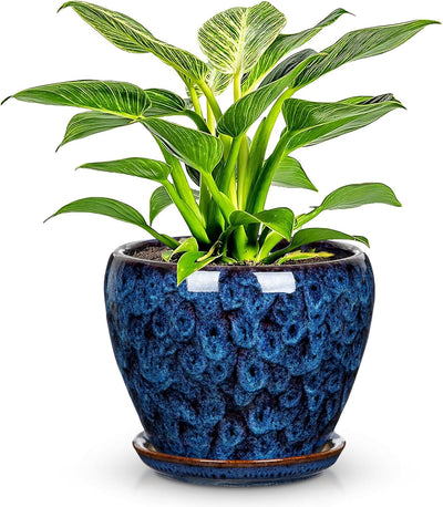 Maceta cerámica azul redonda con drenaje para plantas