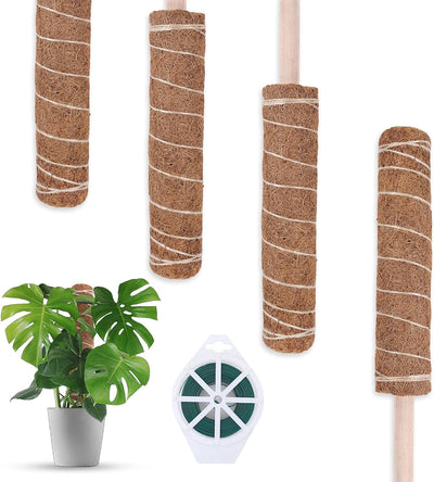 Tótem coco 48.81pulg varillas musgo 16pulg lazos 100ft Monstera