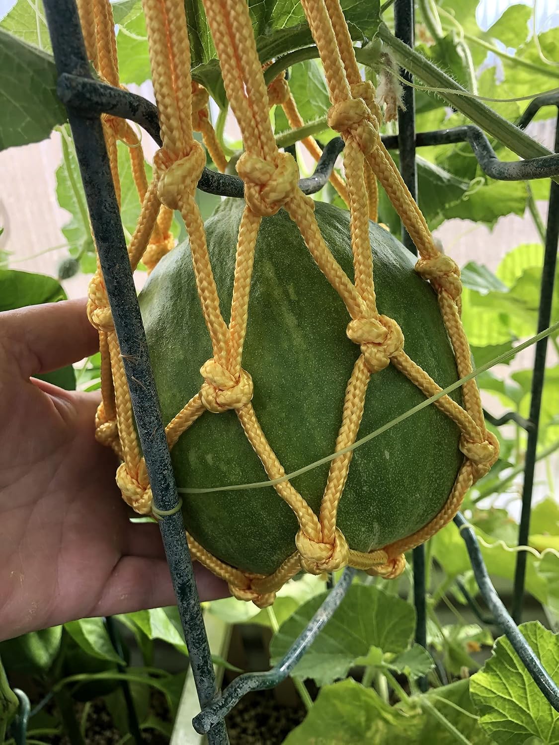 5 Pzas redes para melón cultivo jardín vertical naranja