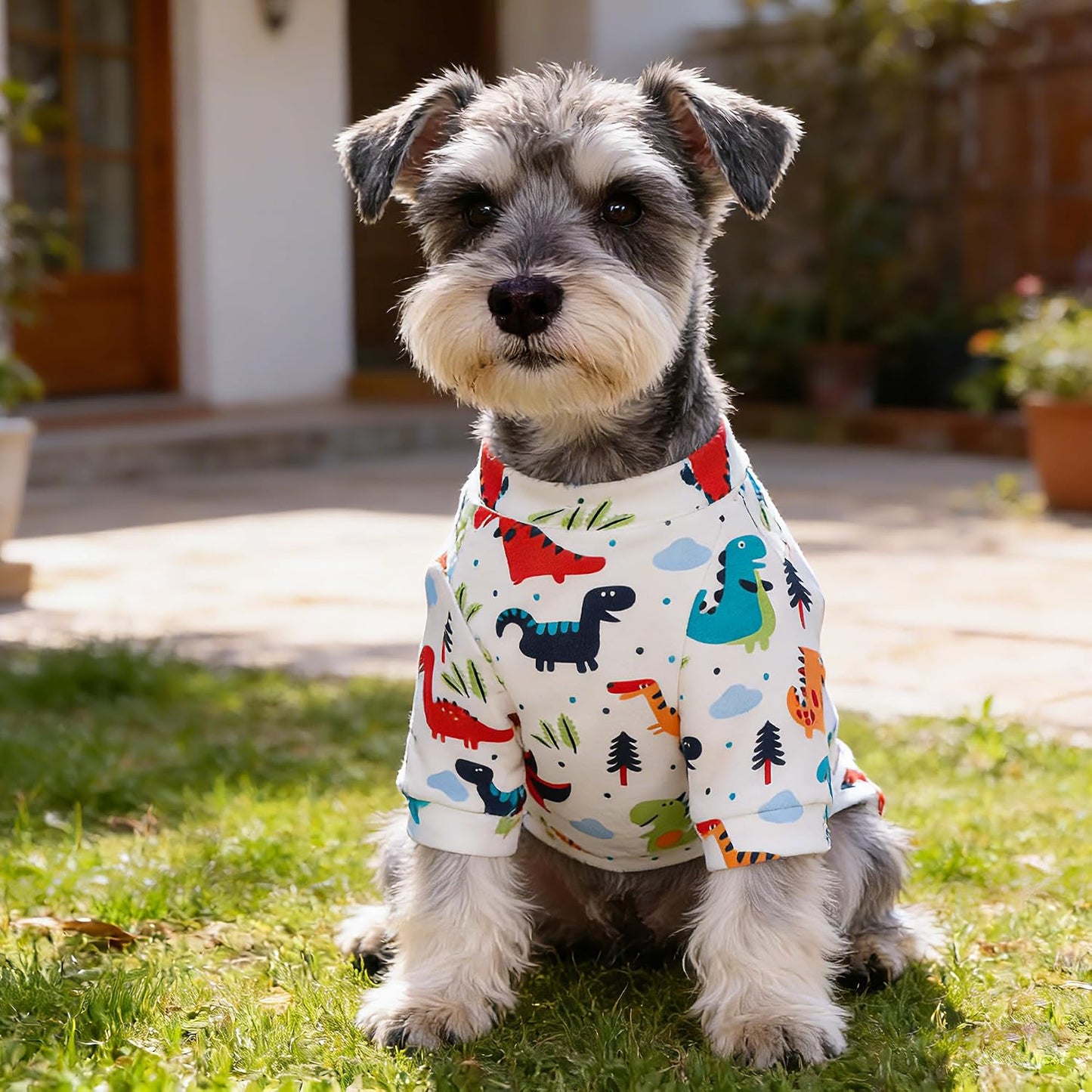 Pijamas perros 100% algodón elásticos transpirables extra pequeño