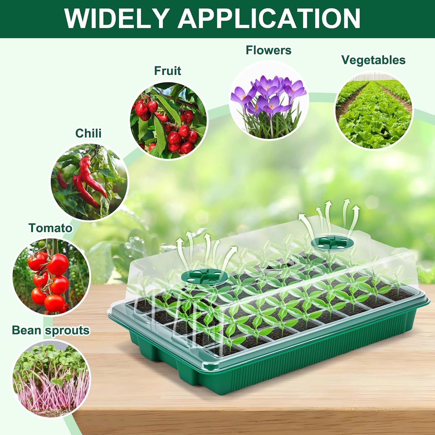 Kit germinación 5 bandejas 200 celdas cúpula ajustable