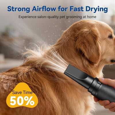 Secador pelo perro 2800W ajustable 4 boquillas