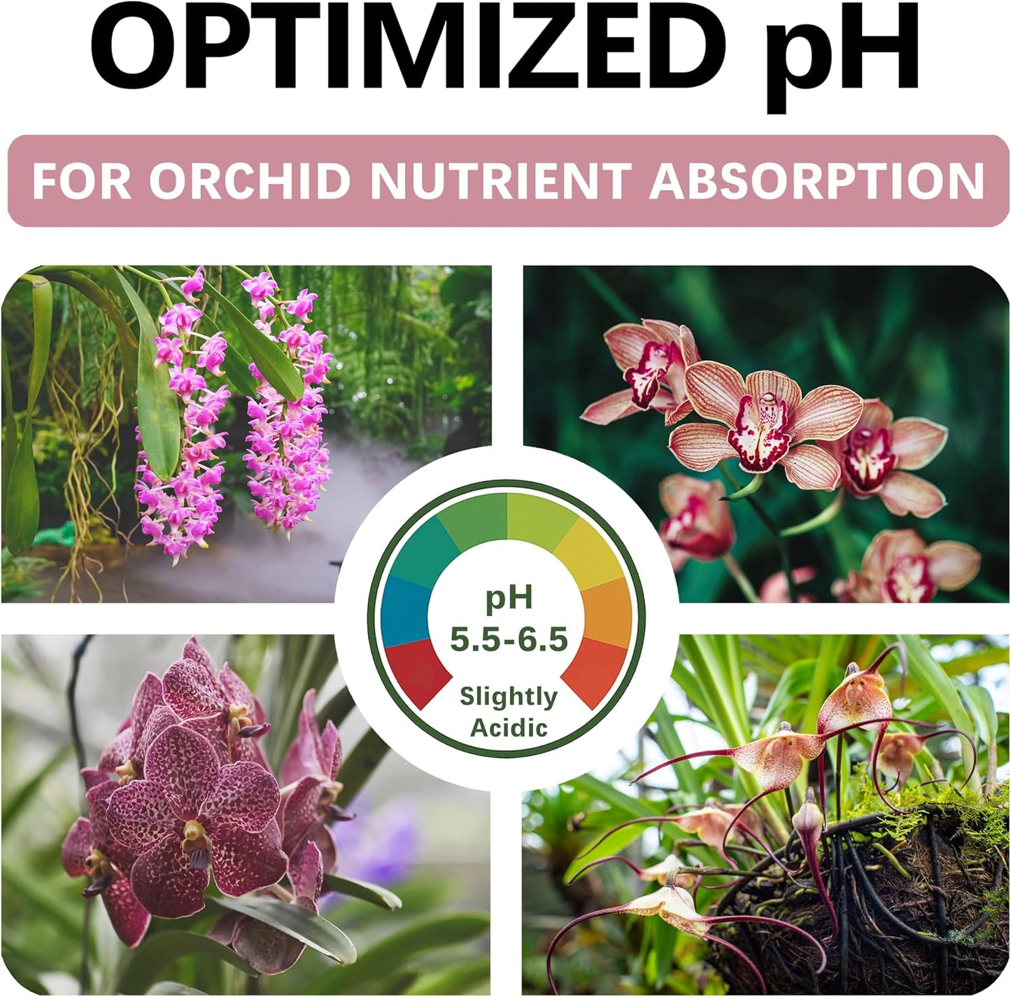 Tierra para orquídeas mezcla premium drenaje rápido pH equilibrado