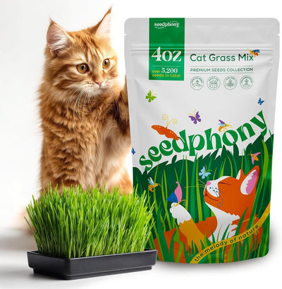 Mezcla semillas hierba gato 4oz 5200 semillas Heirloom sin OGM