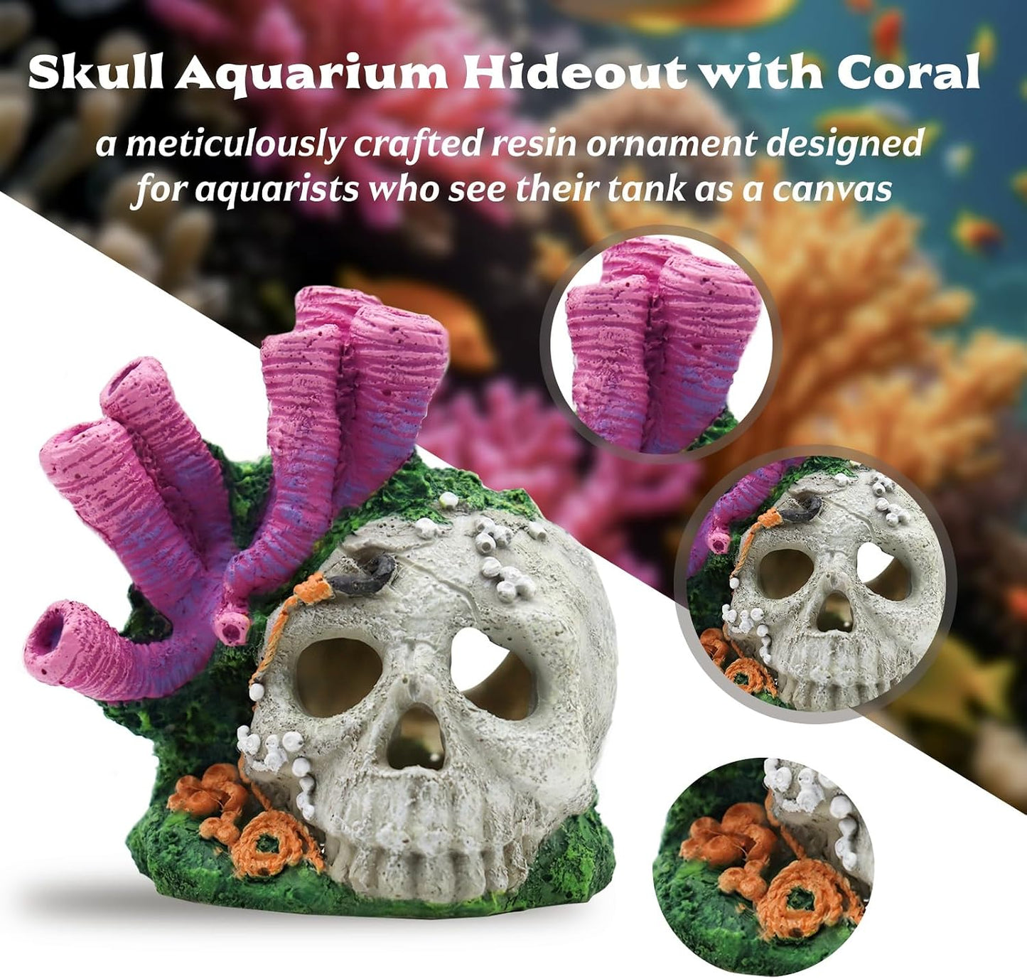 Escondite resina acuario decoración calavera peces