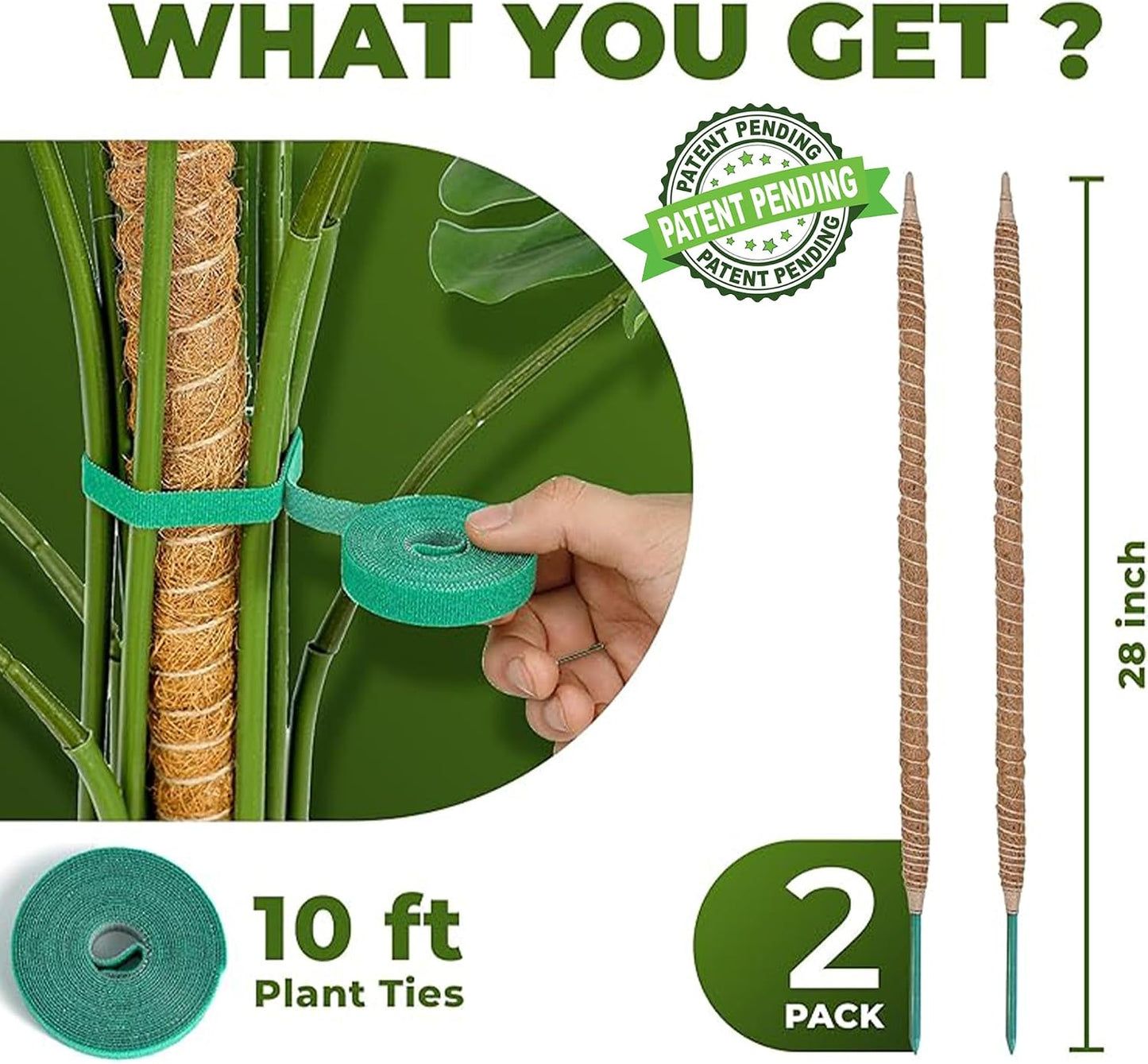 2 Postes Musgo Flexibles 28pulg Soporte Monstera Interior