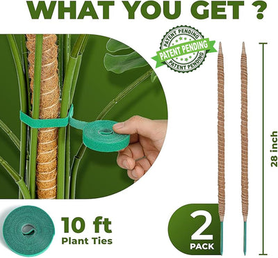 2 Postes Musgo Flexibles 28pulg Soporte Monstera Interior
