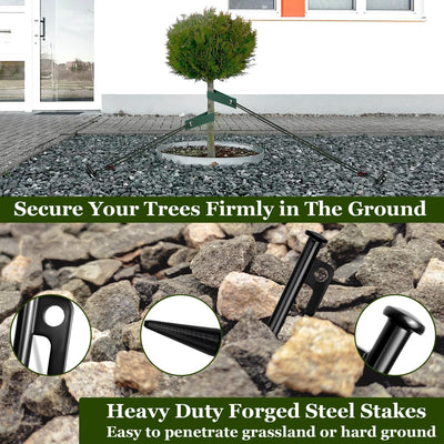 Kit estacas árbol 3 correas 3 estacas acero 12pulg cuerda 39ft