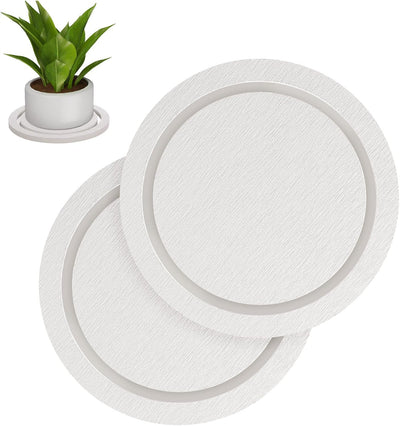 Platillo piedra para macetas 6pulg diatomeas secas 2pzas