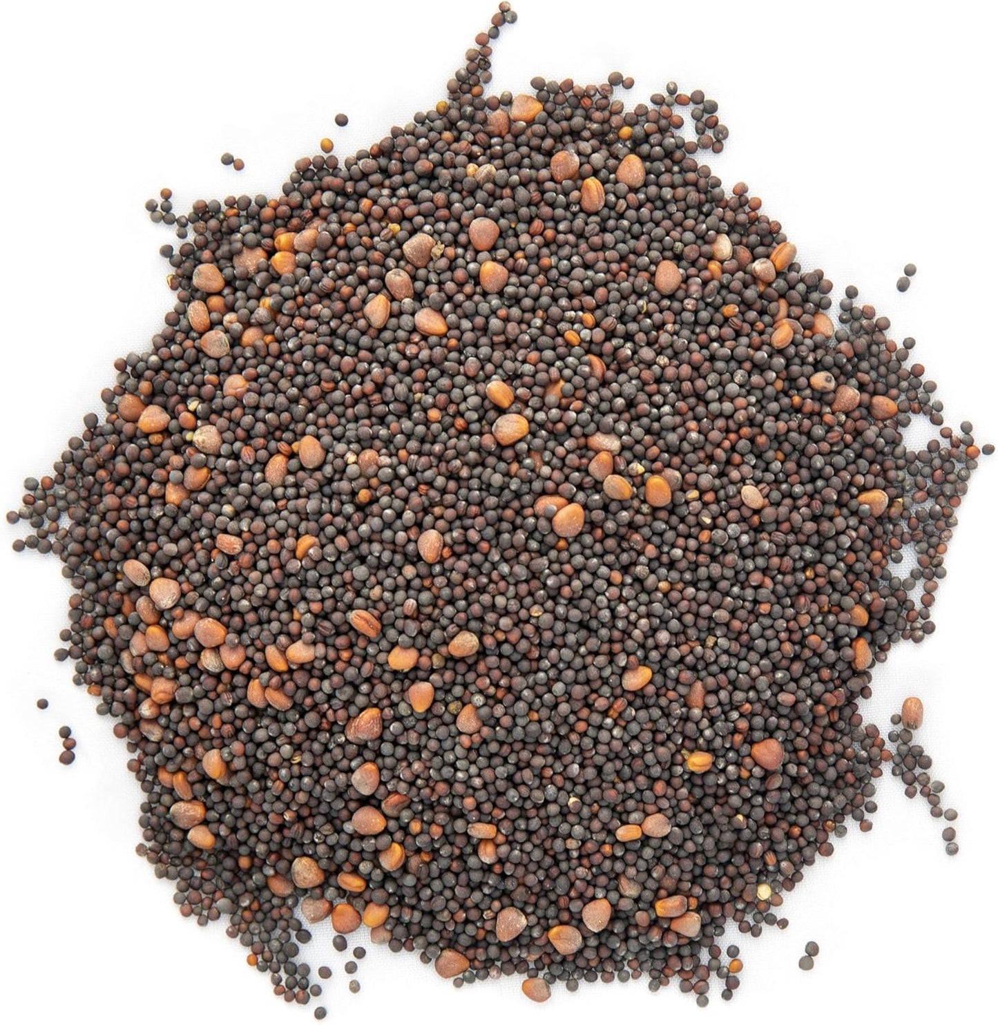Semillas de microgreens mix mizuna pak choi mostaza rábano 1lb