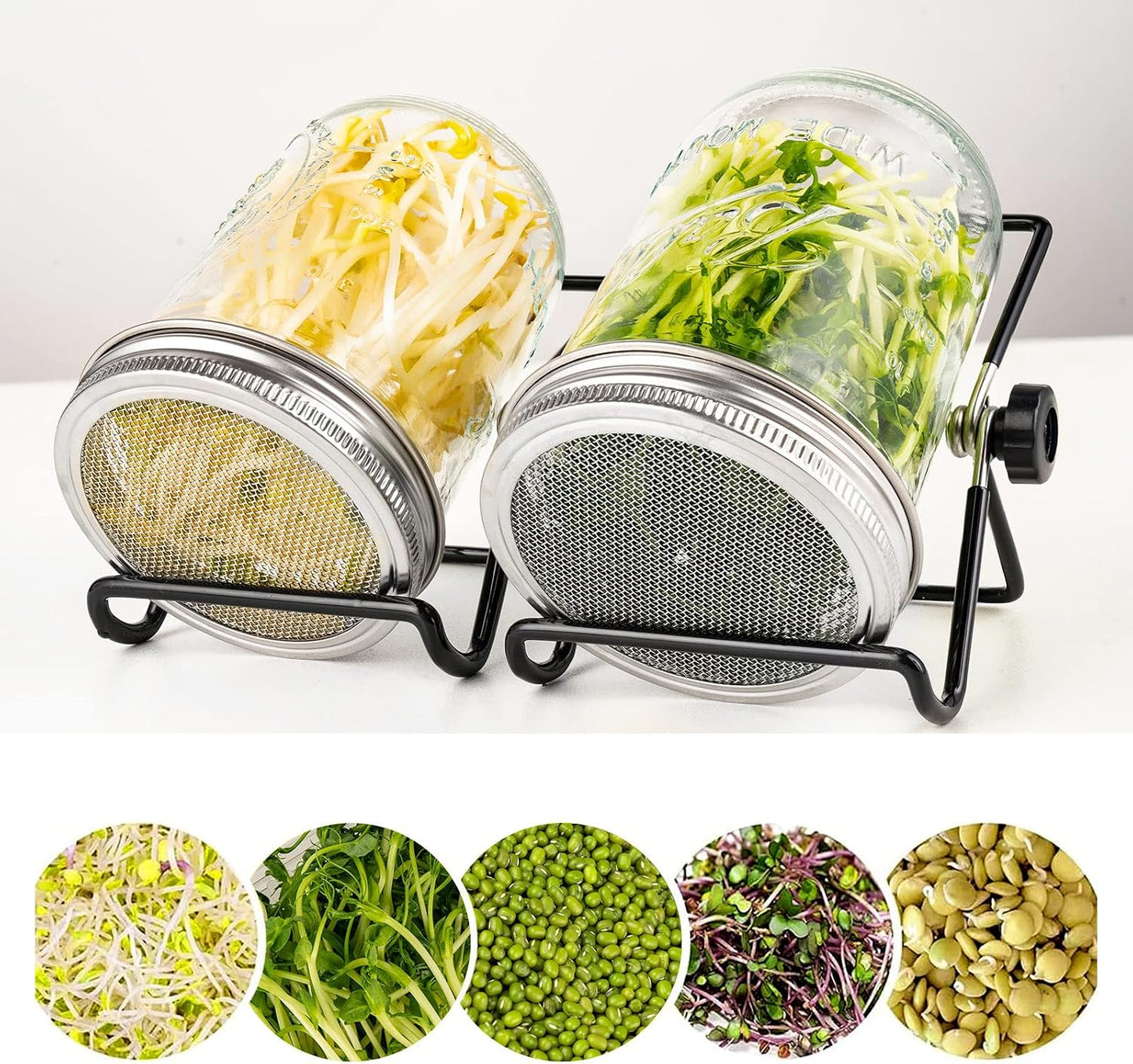 Kit 6 Pzas pantalla germinación acero inox brotes brócoli