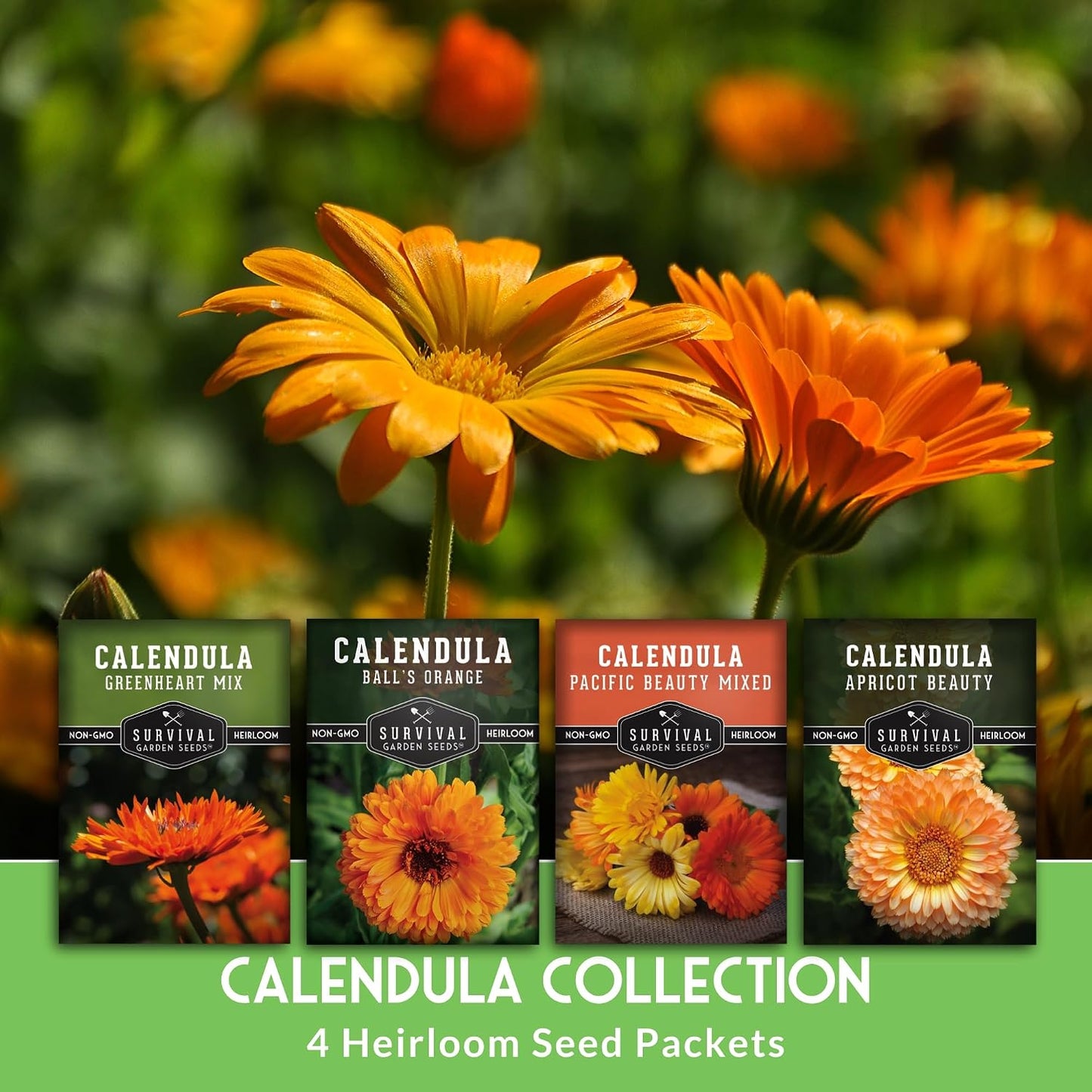 Semillas caléndula para plantar 4uds flores naranja