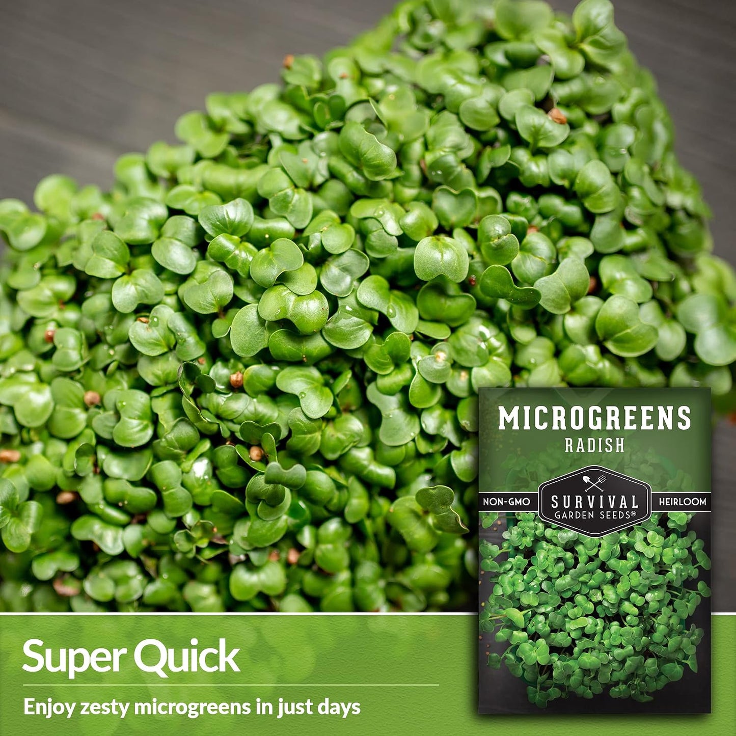 Paquete semillas rábano cultiva microvegetales alféizar