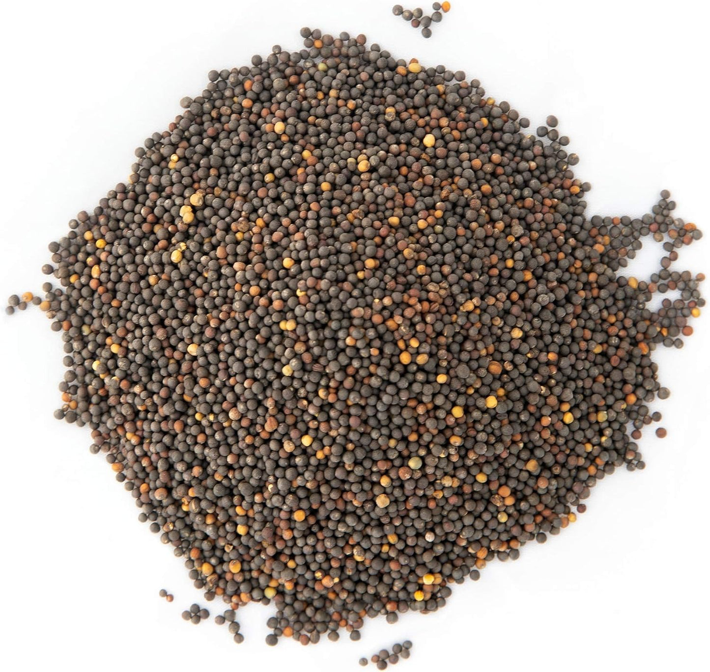 Semillas col rizada azul, premier y roja sin OMG bolsa 1lb
