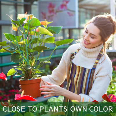 10 Estacas Apilables para Plantas Trepadoras y Enredaderas