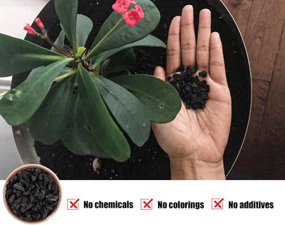 Carbón hortícola para macetas 1qt orquídeas y jardinería