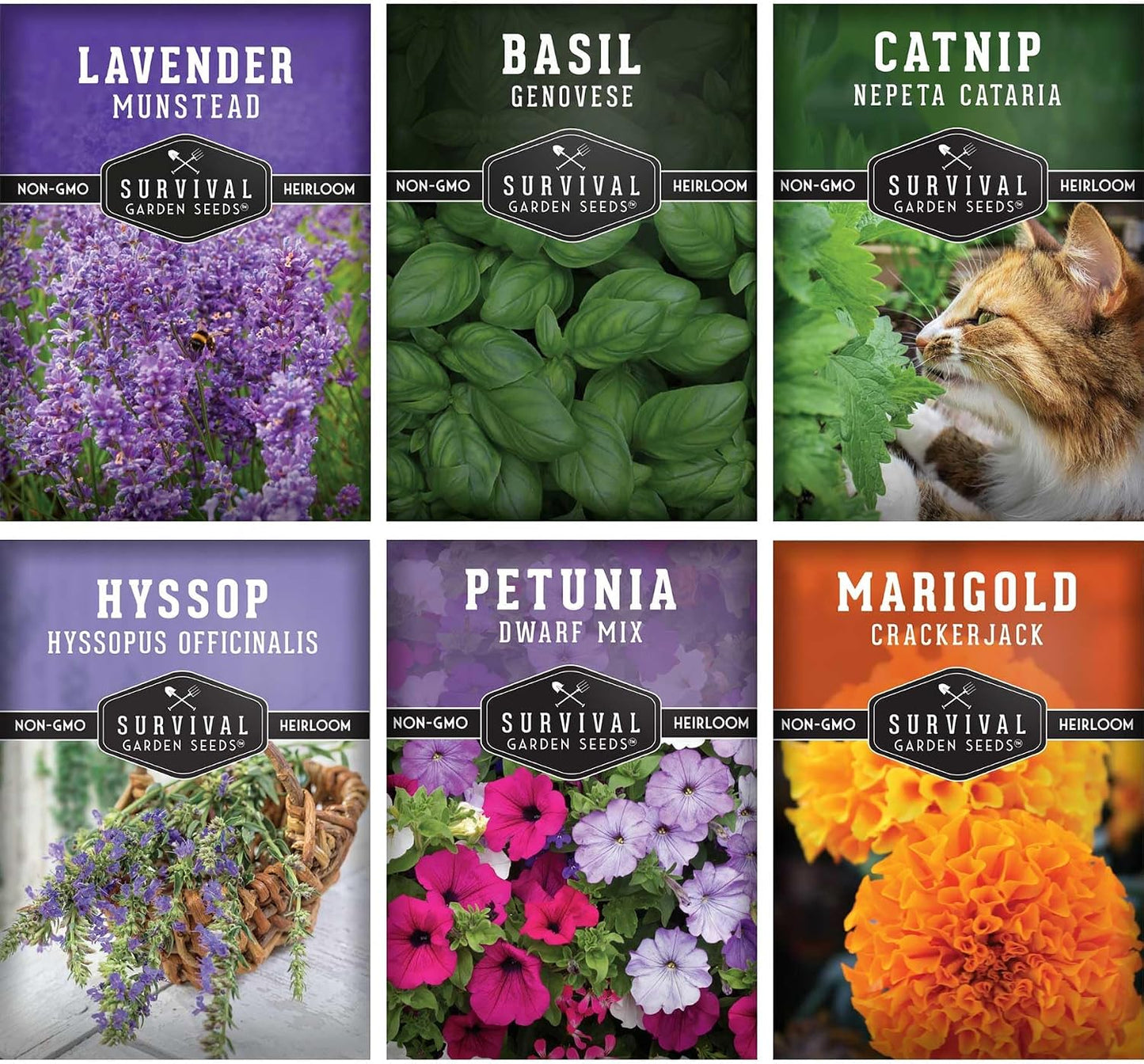 6 Pack Semillas Lavanda Hisopo Caléndula Petunia Albahaca