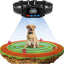 Valla eléctrica perros collar GPS 9999yd inalámbrica IP67