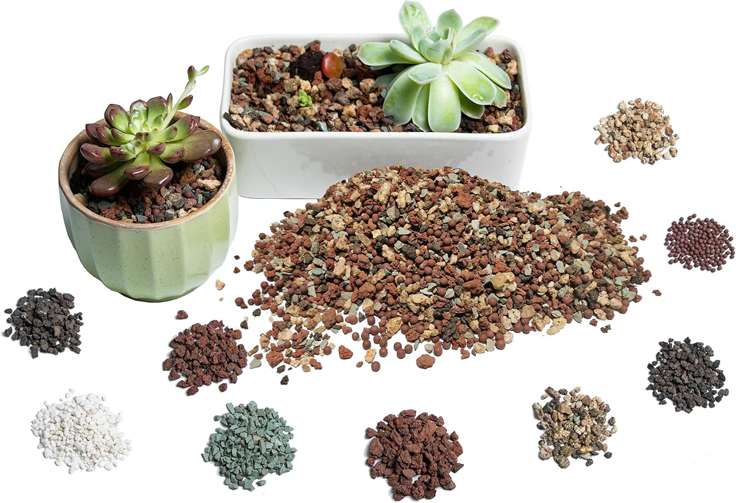 Suelo suculento para plantas cactus bonsái con perlita