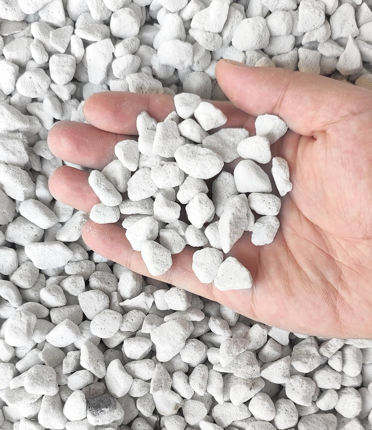 Perlita hortícola profesional 2qt tamaño grande