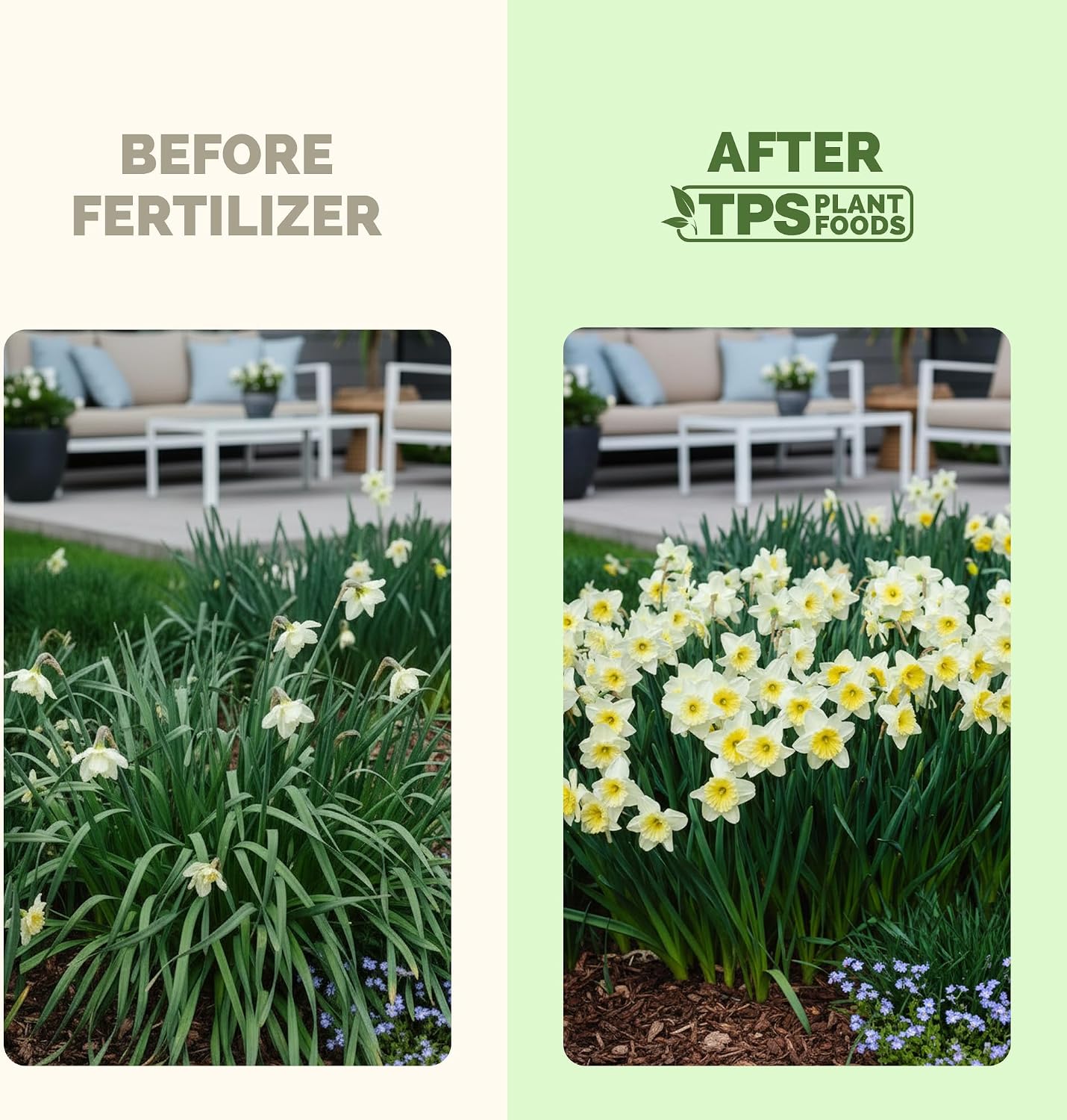 Fertilizante líquido para bulbos de narciso 8oz