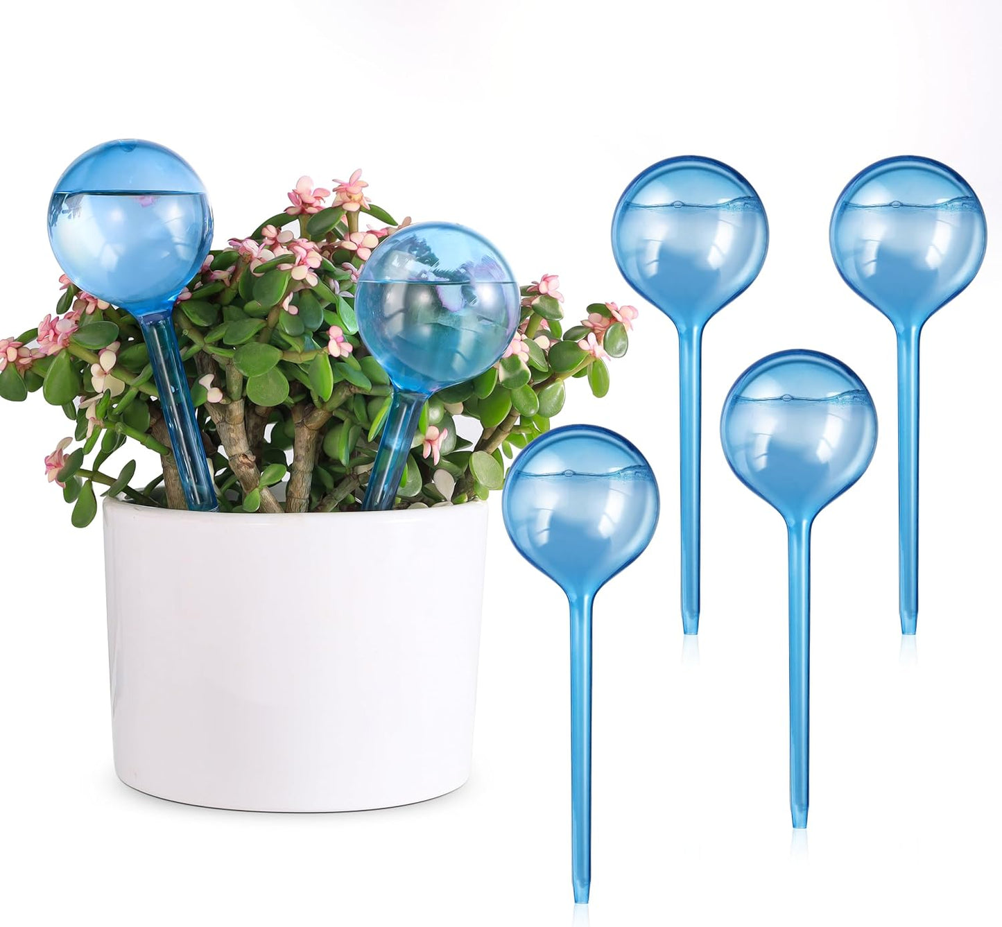 6 Globos PVC para riego automático maceta con picos