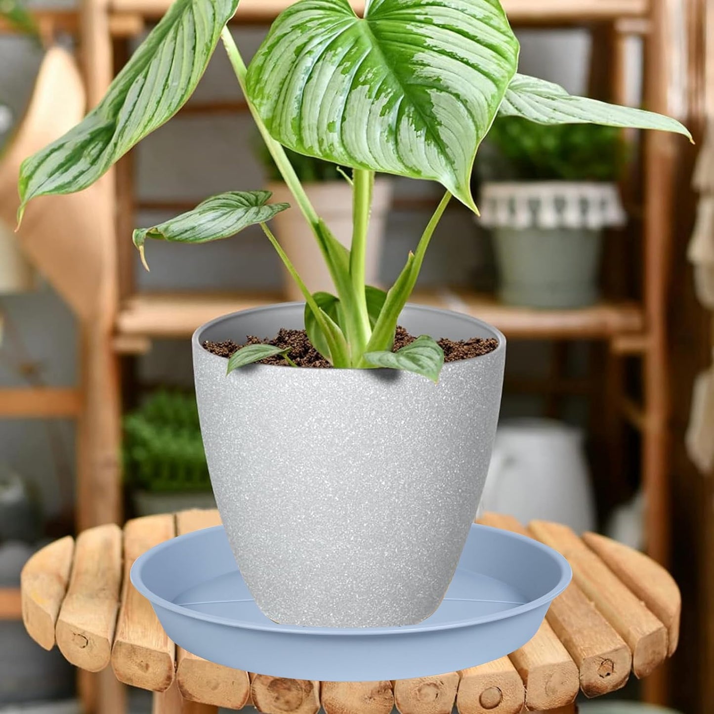 6 Pzas Bandejas Goteo Plástico 7-9pulg para Plantas