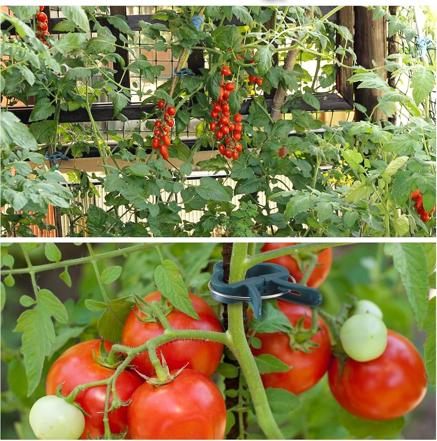 Clips soporte plantas 80 abrazaderas suaves para trepadoras