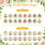 16 Tarjetas Madera Meses Bebé Doble Cara Baby Shower
