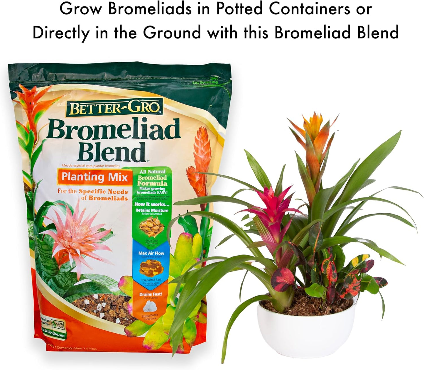 Mezcla bromelia 8qt