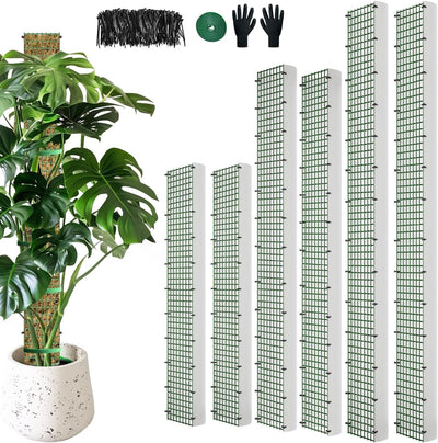 Poste musgo esfagnum forma D para plantas trepadoras 60/40/24 pulg