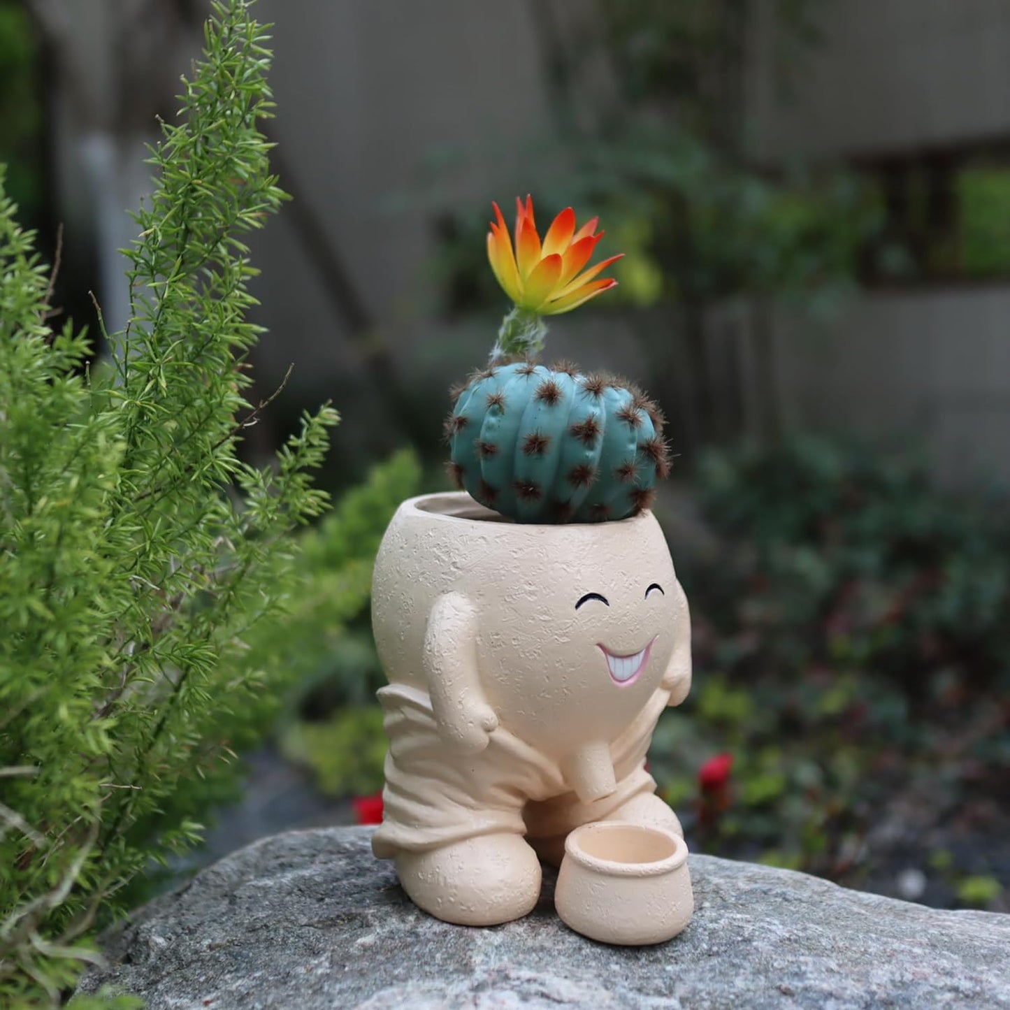 Maceta cara divertida para cactus decoración interiores exteriores