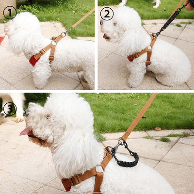 2 Clips Seguridad Collar Perro Doble Hebilla Giratoria Rosa Negro