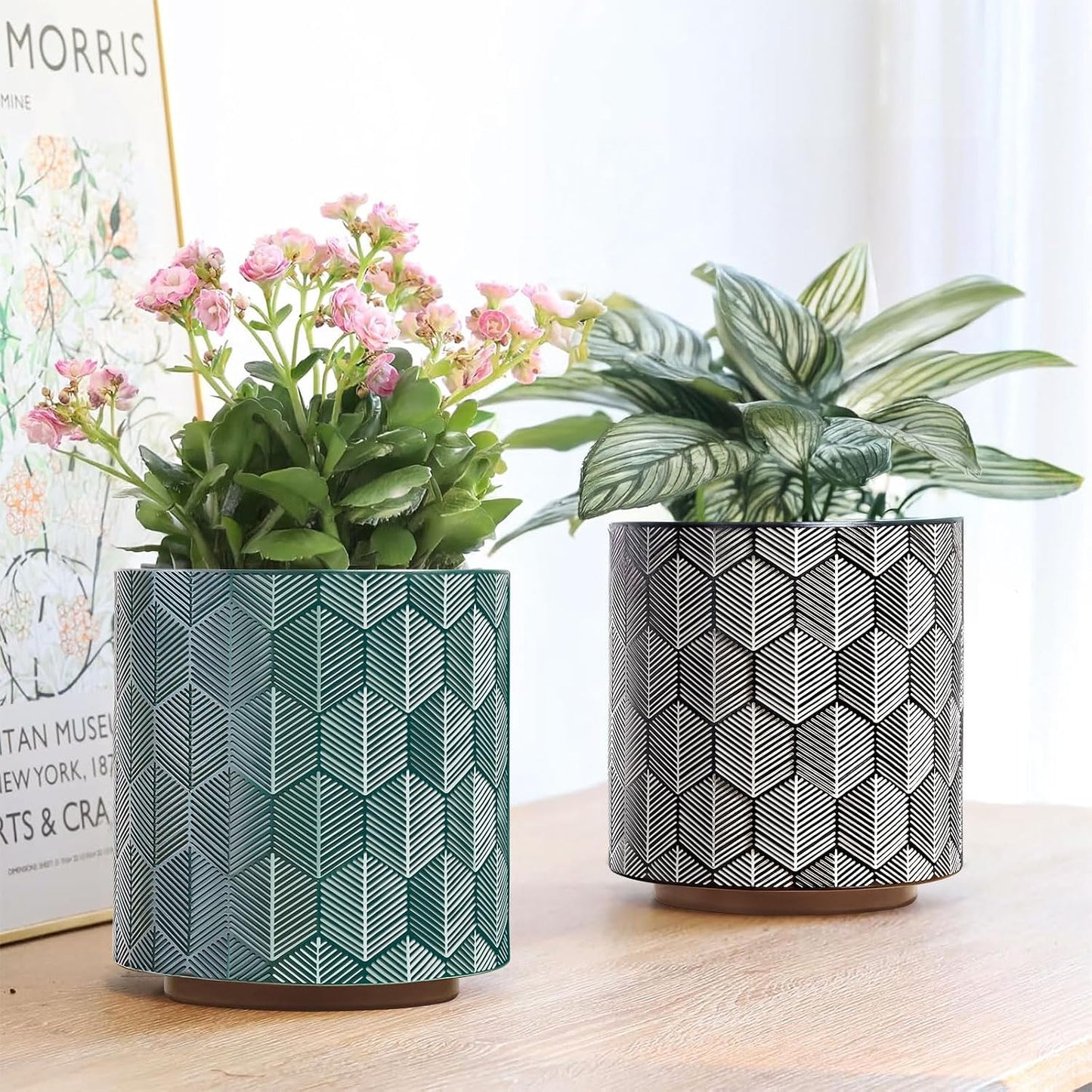 Macetas hexagonales modernas boho para suculentas y plantas