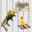 4 Pzas Perchas Pájaros con Hamaca Colores