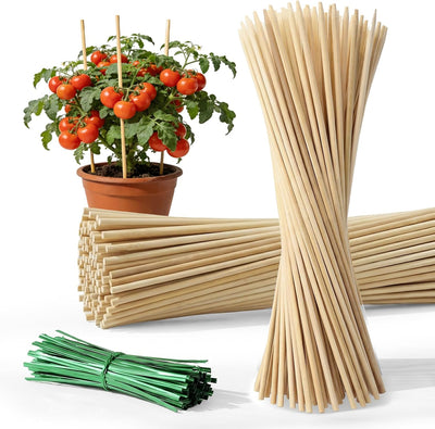 Estacas para plantas 40 pzas 9.8pulg con 30 lazos verdes