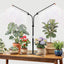 Lámpara cultivo plantas 3 cabezales LED ajustable 15-47pulg