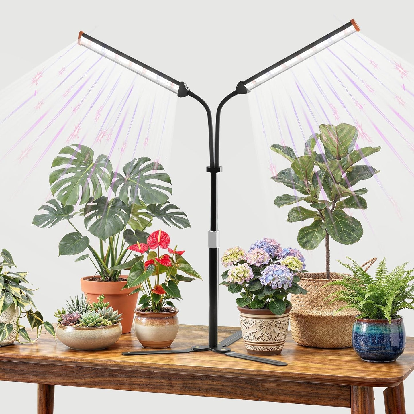 Lámpara cultivo plantas 3 cabezales LED ajustable 15-47pulg