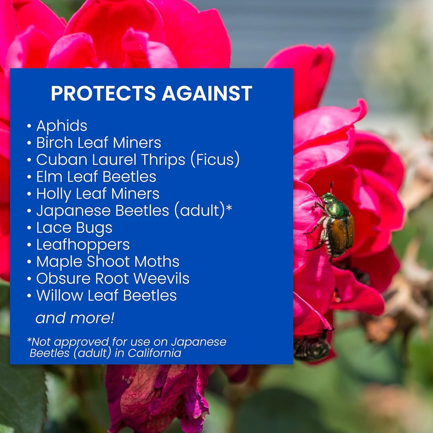 Cuidado rosas y flores todo en uno 4lb