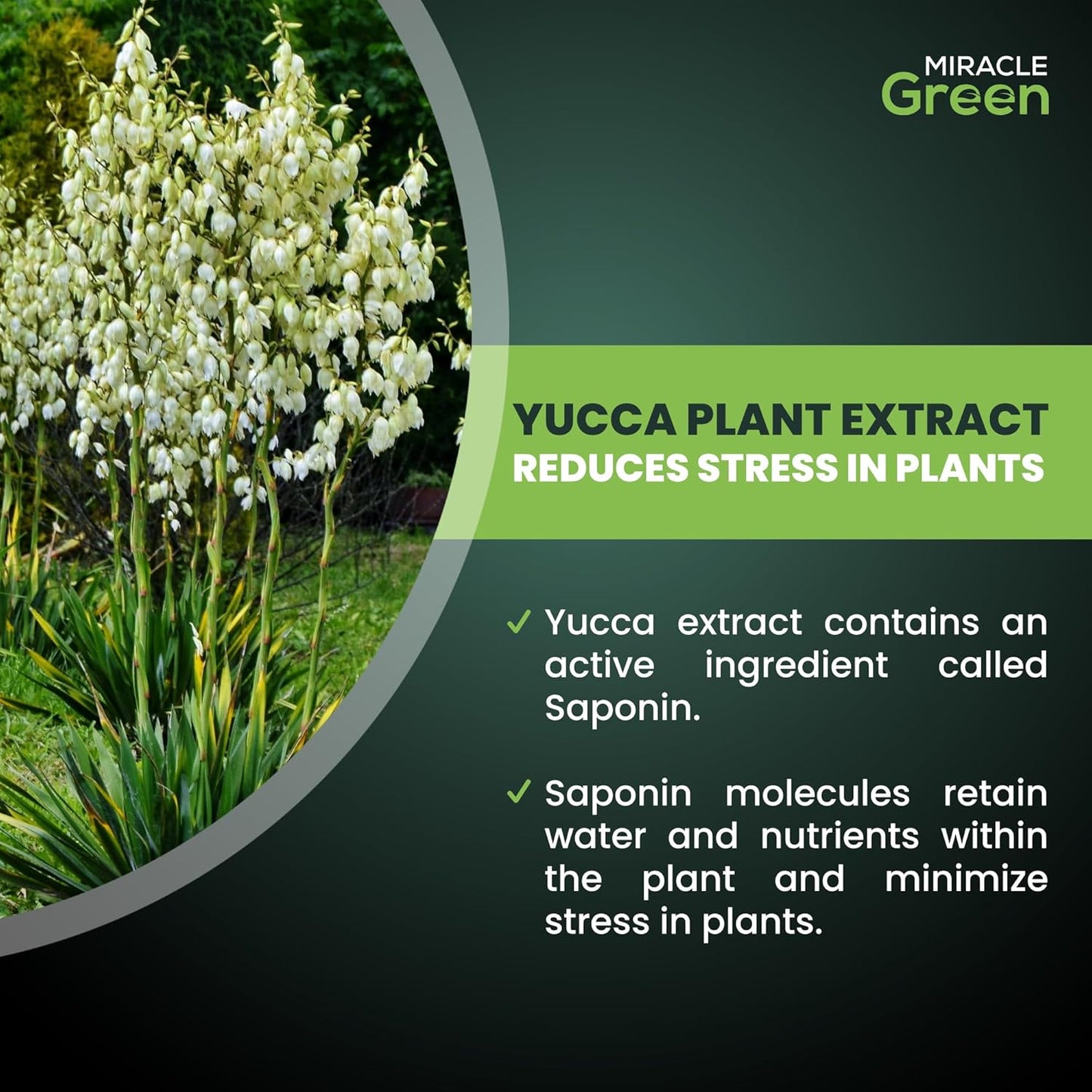 Fertilizante líquido para árbol yuca flores frutas